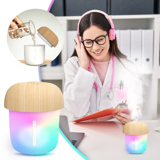 Portable Mushroom Humidifier – Mini USB Aroma Diffuser, 300ml Cool Mist, with Box