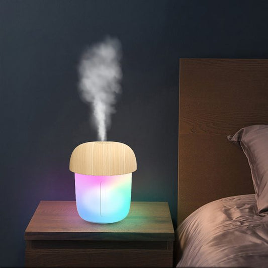 Portable Mushroom Humidifier – Mini USB Aroma Diffuser, 300ml Cool Mist, with Box
