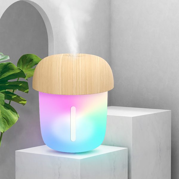 Portable Mushroom Humidifier – Mini USB Aroma Diffuser, 300ml Cool Mist, with Box